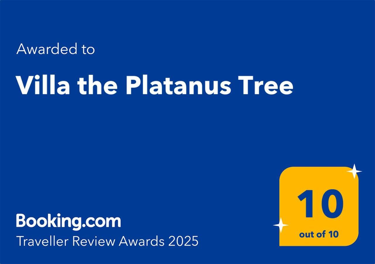 Villa The Platanus Tree Kato Vasiliki Экстерьер фото