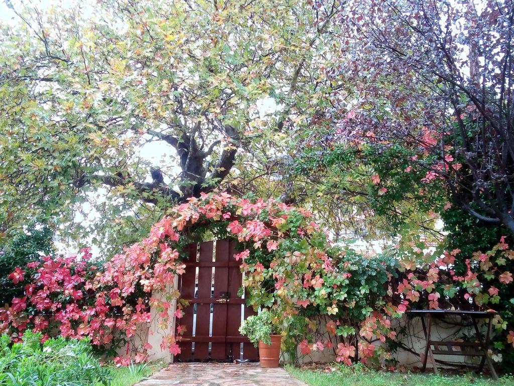 Villa The Platanus Tree Kato Vasiliki Экстерьер фото