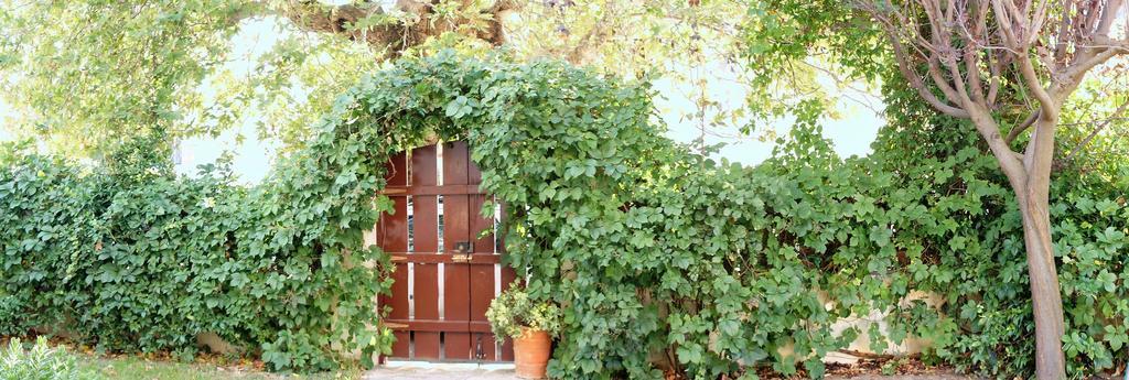 Villa The Platanus Tree Kato Vasiliki Экстерьер фото