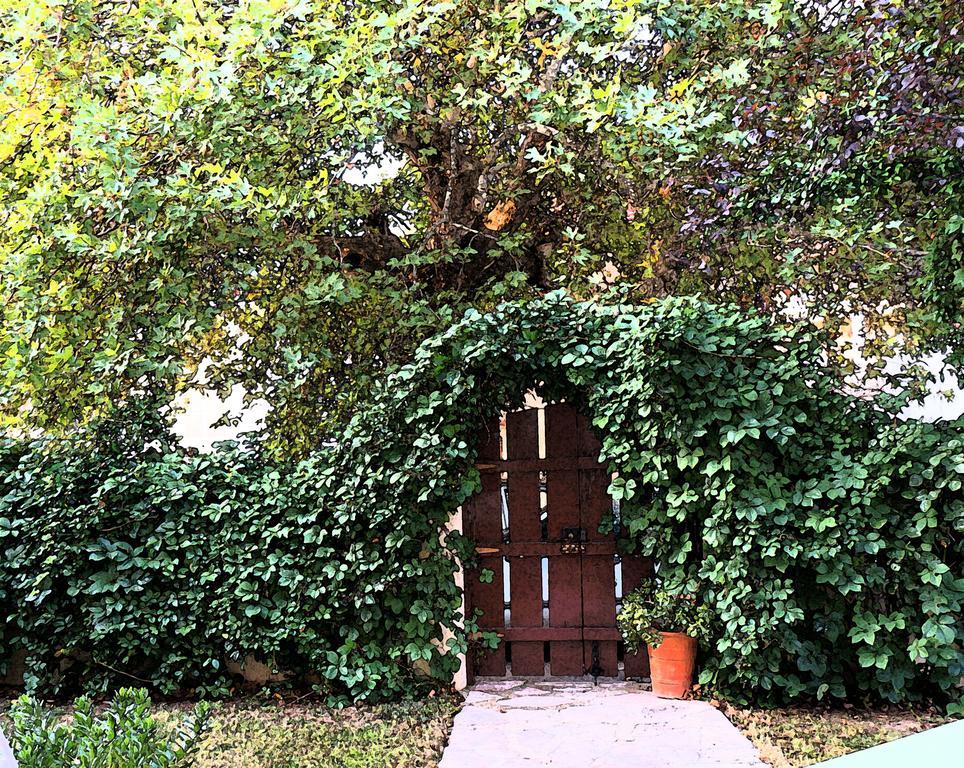 Villa The Platanus Tree Kato Vasiliki Экстерьер фото