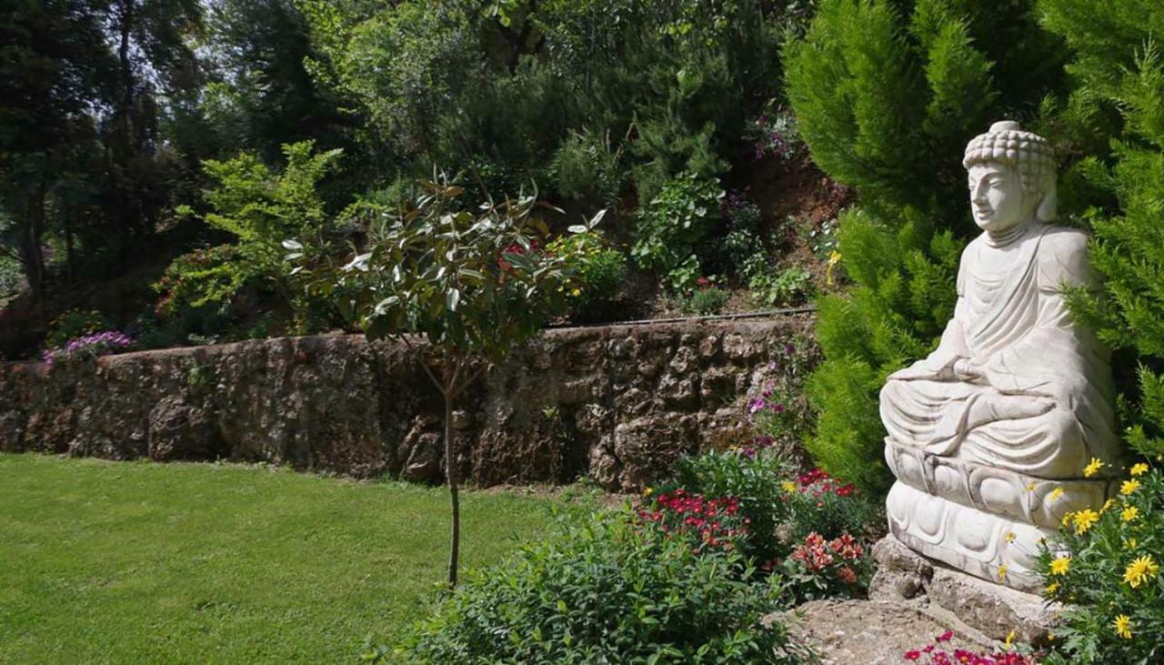 Villa The Platanus Tree Kato Vasiliki Экстерьер фото